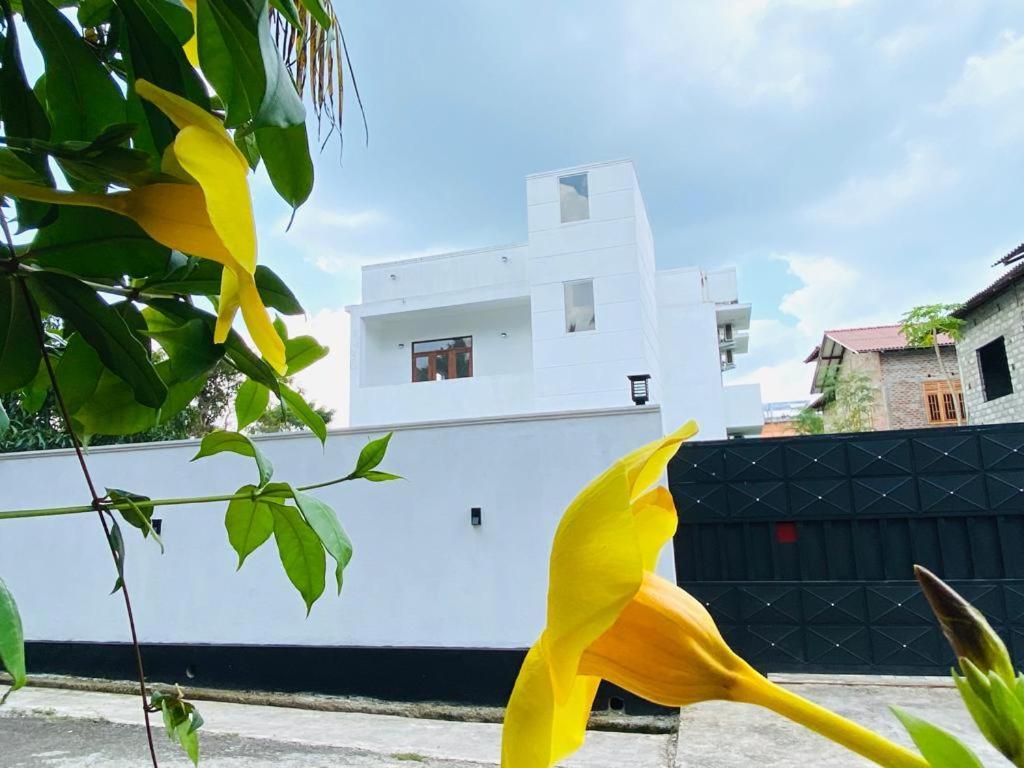 Twinstop Villa Minuwangoda Esterno foto